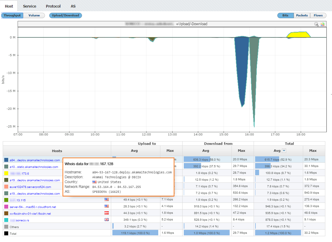 NetVizura NetFlow Analyzer - IP Address Resolution