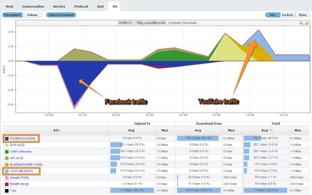 NetVizura NetFlow Analyzer - End User Traffic by AS